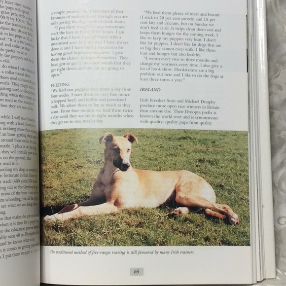 The Ultimate Greyhound Edited by Mark Sullivan. BUY 1 GET 1 FREE. - Picture 11 of 13